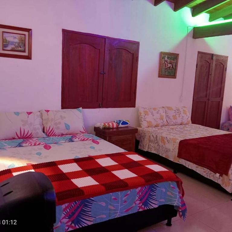 Los Tulipanes - Apartamento de 1 dormitorio - 3