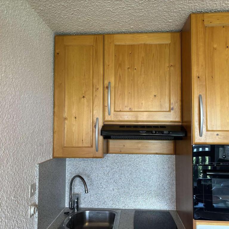 Auris en Oisans: Appart 4 pers, 250m pistes, balcon, parking gratuit, animaux admis - Apartment mit 1 Schlafzimmer - 4