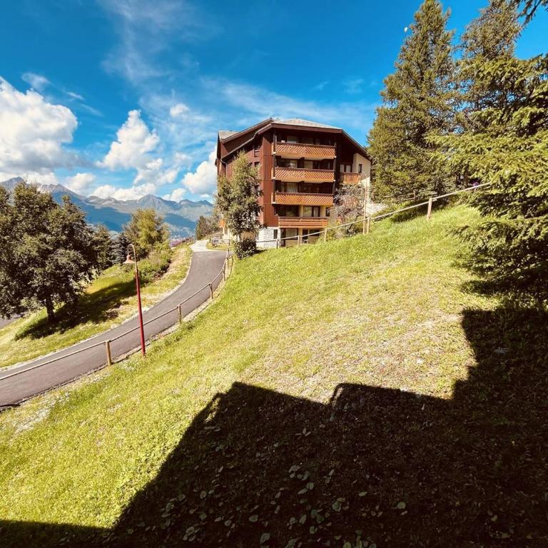 Studio pour 4 pers. proche pistes, balcon, animaux admis - Vallandry - Studio - 9