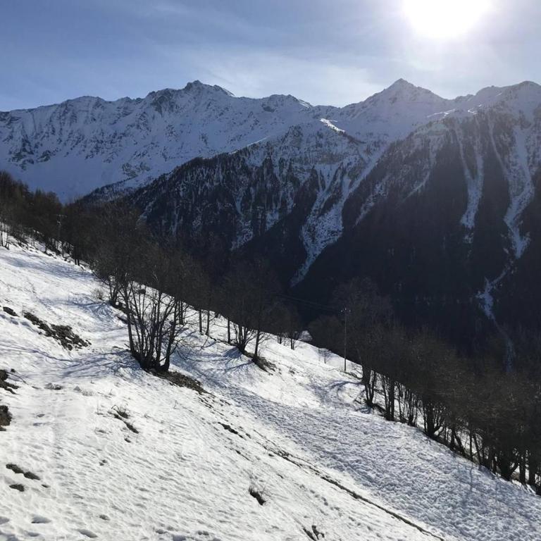 Charmant studio 4 pers, balcon Sud, proche pistes - Plan Peisey - Studio - 4