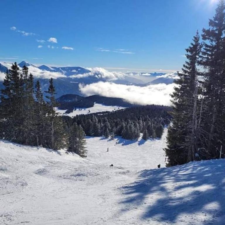 La Parenthèse Chamroussienne - Proche pistes de ski - Appartement 1 Chambre - 22