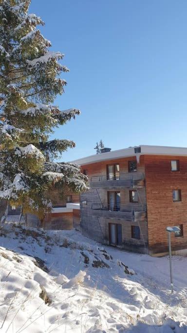 La Parenthèse Chamroussienne - Proche pistes de ski - Appartement 1 Chambre - 19