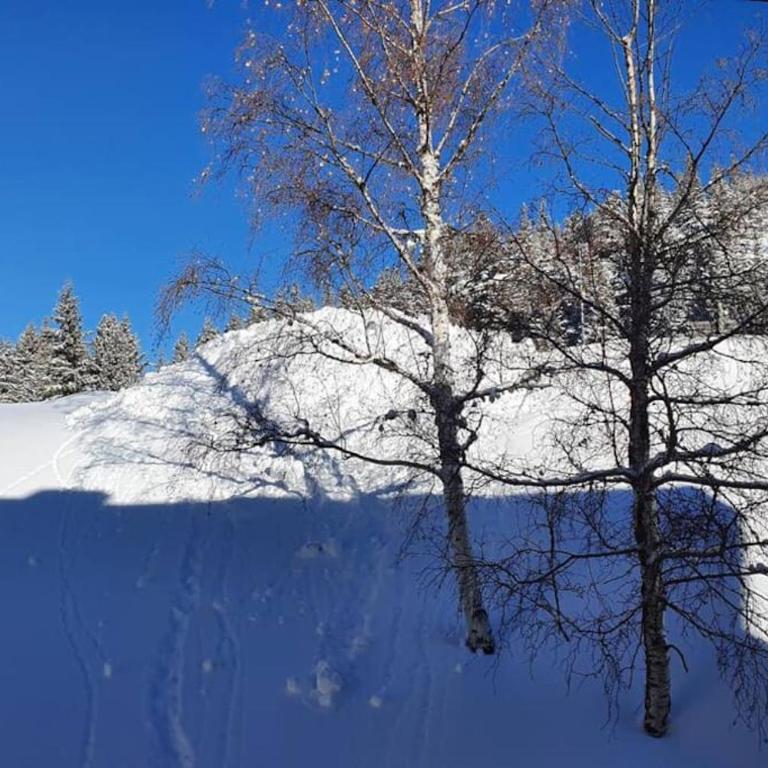 La Parenthèse Chamroussienne - Proche pistes de ski - Appartement 1 Chambre - 21