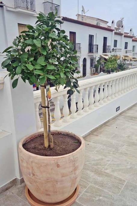 Bajamar I 9 - Casa de 2 dormitorios - 30