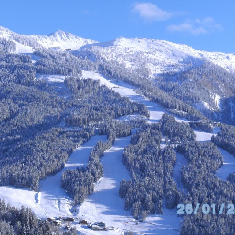 Haus Erika - Apartment mit 2 Schlafzimmern und Bergblick - 19