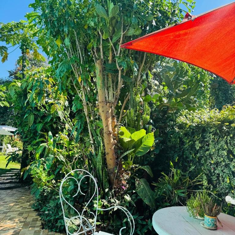 Apart Pequeño Loft con piscina compartida en Cataratas - Apartamento de 1 dormitorio - 7