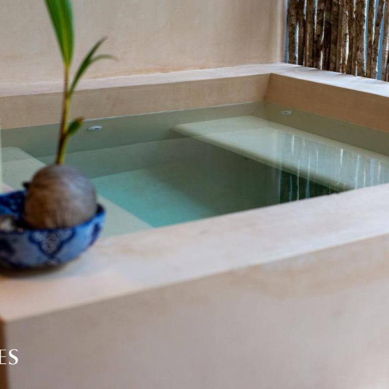 3 Recámaras | Piscina Privada | Espacioso | Gym - Apartamento - 24