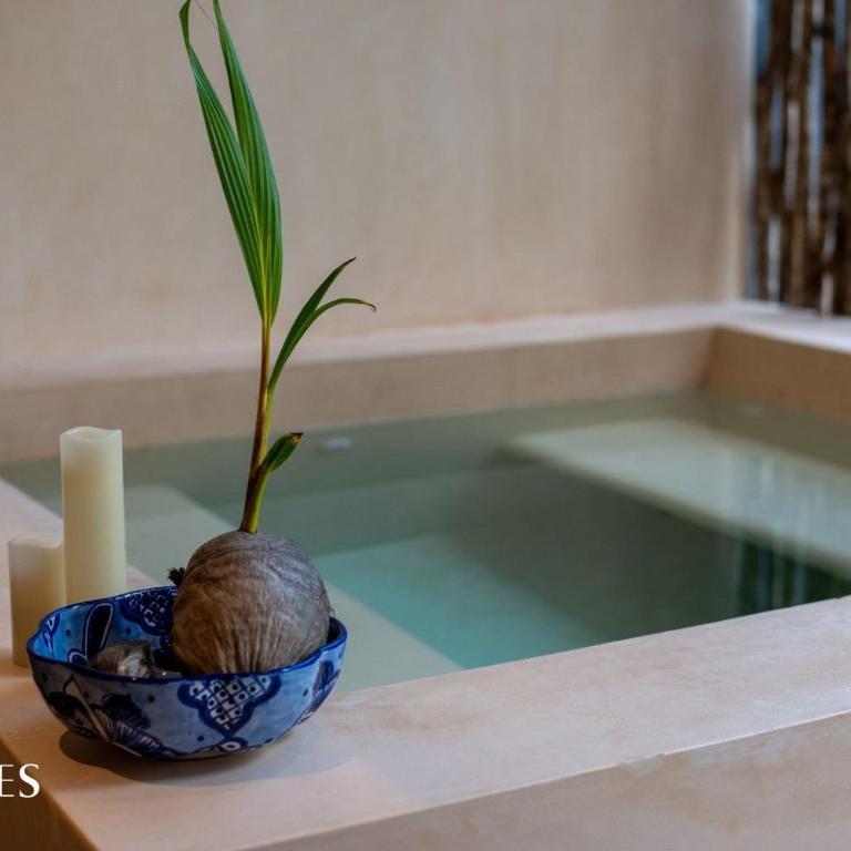 3 Recámaras | Piscina Privada | Espacioso | Gym - Apartamento - 26