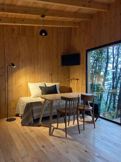 Tiny house sobre el lago nahuel huapi - Casa con 1 dormitorio - 18