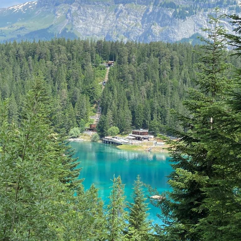 Laax-Relax - Apartment mit Balkon - 41