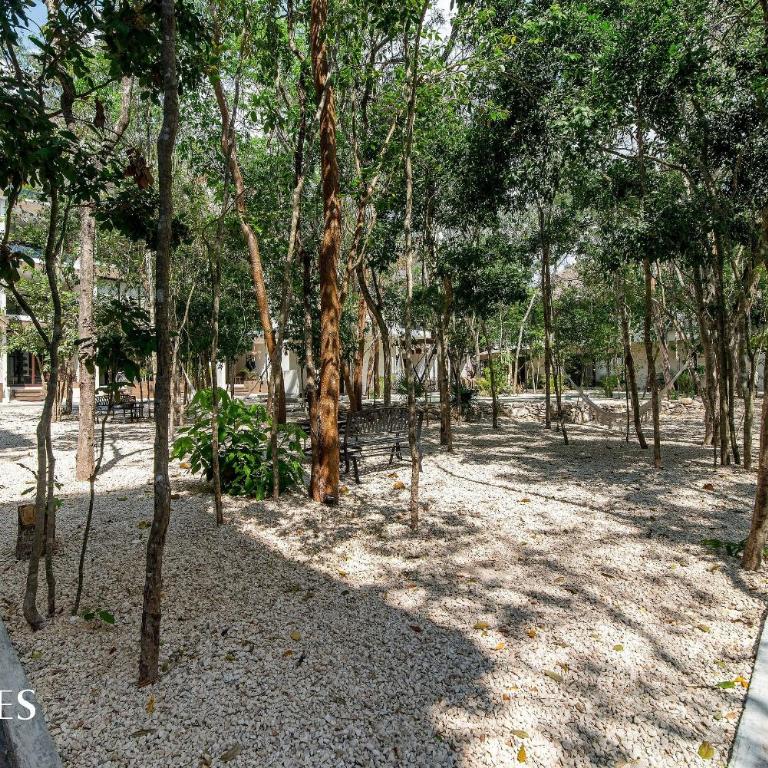 Espacioso Loft c/vista al Jardin | Piscina | GYM - Apartamento de 1 dormitorio - 12
