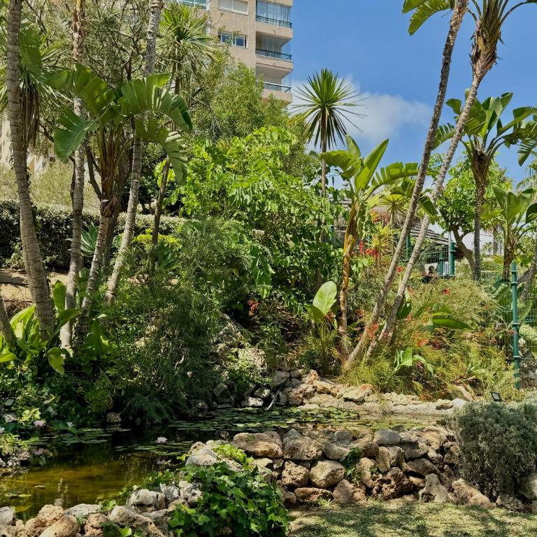 Apartamento con vistas al mar y piscina en Benalmadena - Apartamento de 2 dormitorios - 40