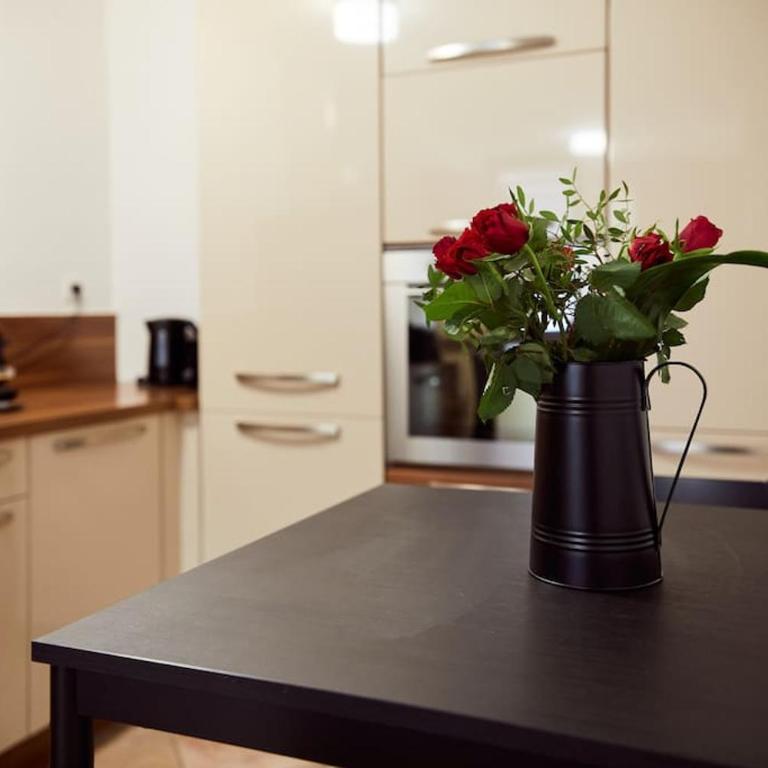 L'Alsacien Plaisir- Balnéo-Wifi-Netflix - Apartment mit 1 Schlafzimmer - 17