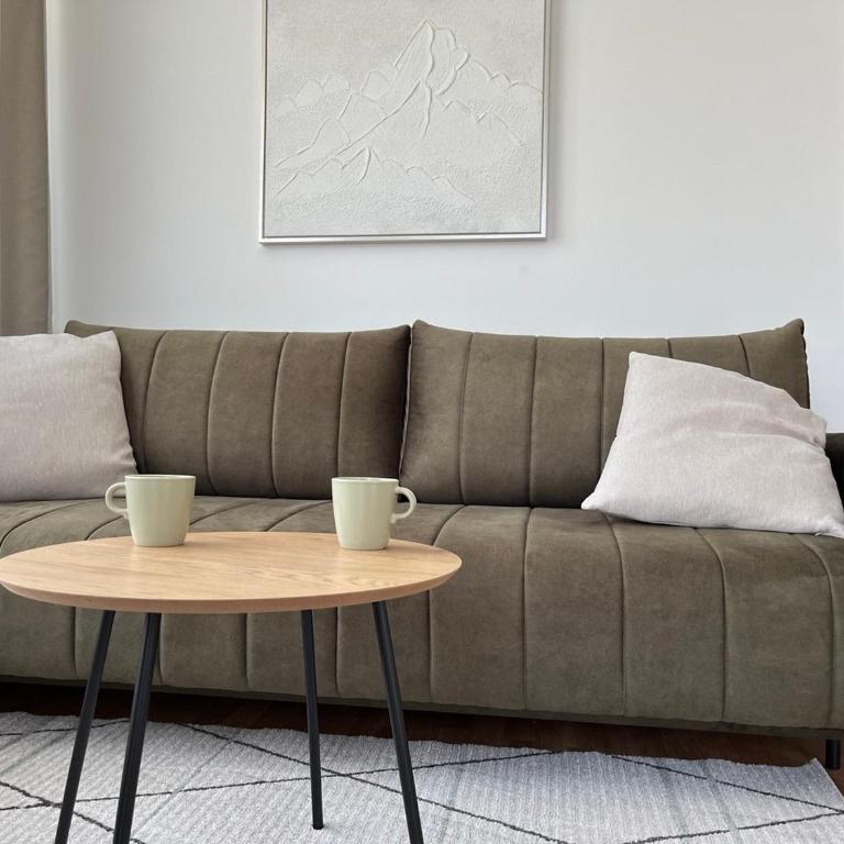 Apartman Crni Vrh - DivčiNova - Apartman sa 1 Spavaćom Sobom - 2