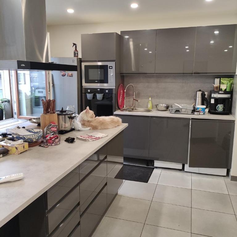 Murat appartement 3 pieces - Appartamento con 2 Camere da Letto - 3