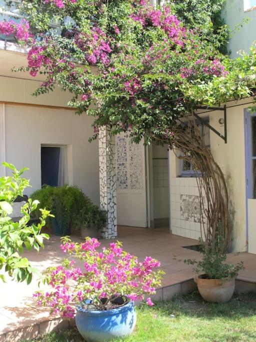 Appartement Nimes avec terrasse ouverte - One-Bedroom Apartment - 16