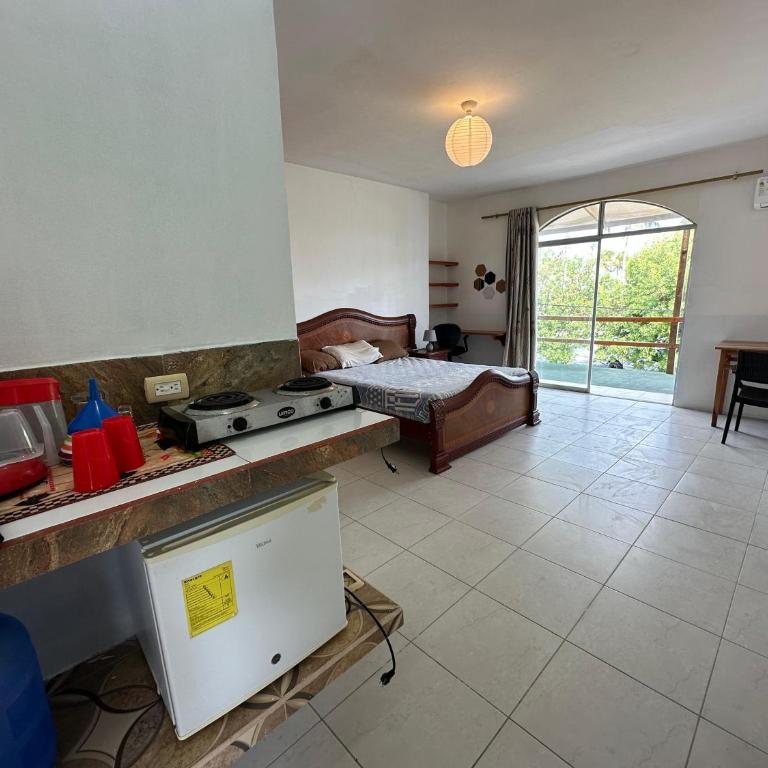 GALAPAGOS Flamingos - One-Bedroom Apartment - 1