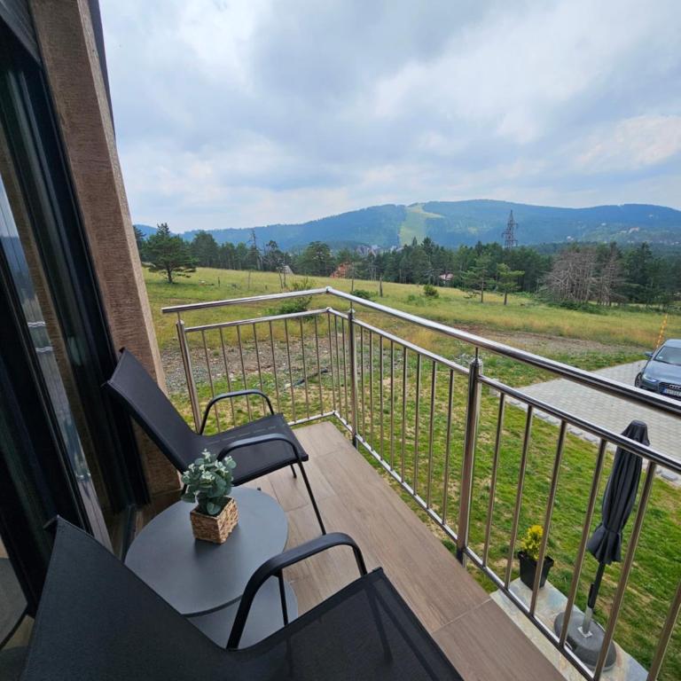 Apartmani Mandić Divčibare - Apartman sa 1 Spavaćom Sobom - 7