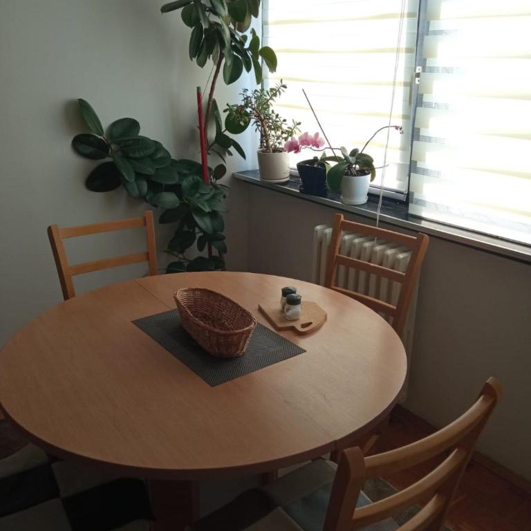Rose Dobrinja - Apartman sa 1 Spavaćom Sobom - 6