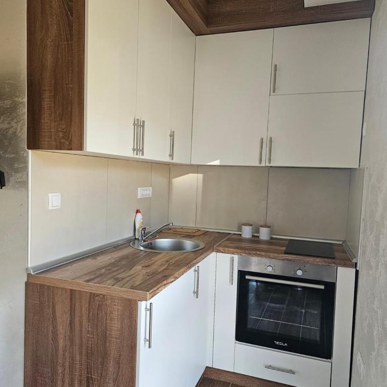 Apartman Zagorac - Apartman sa 1 Spavaćom Sobom - 6