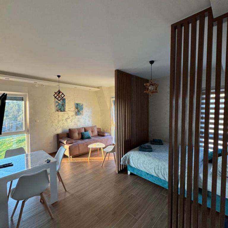 Apartman Zagorac - Apartman sa 1 Spavaćom Sobom - 9
