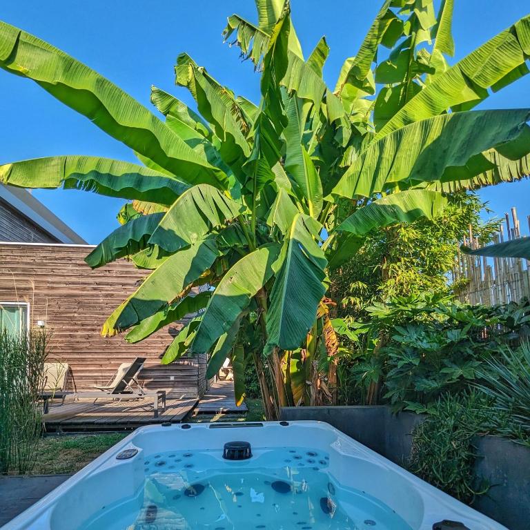 Fare Bambou - Appartement - 3