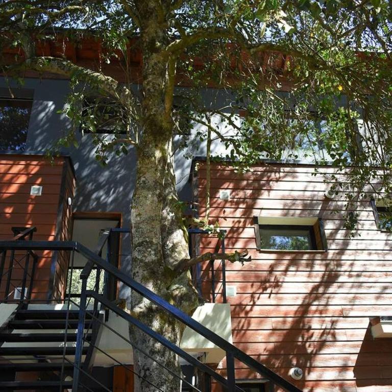 Departamento a 2km del centro de VLA para 2 o 4 paxs - 16 - Apartamento de 1 dormitorio - 9