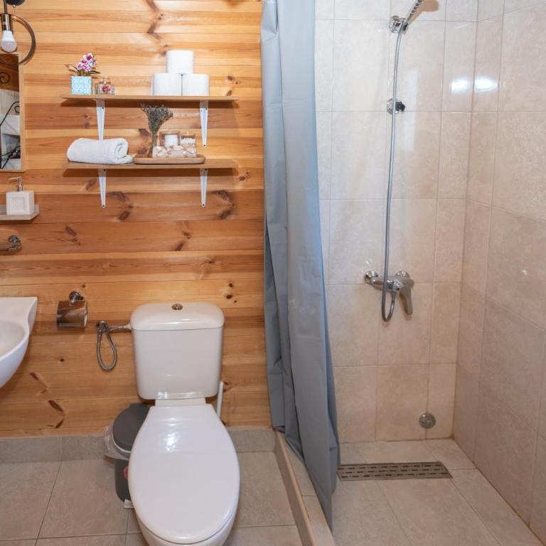 Monte Chalet Kolašin - Vila sa Pogledom na Vrt - 36