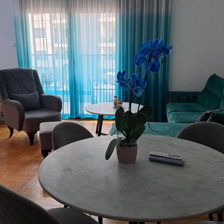 Plava orhideja apartman - Apartman sa 1 Spavaćom Sobom - 10