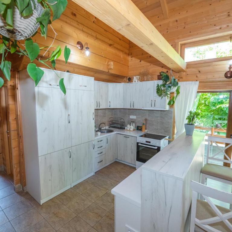 Monte Chalet Kolašin - Vila sa Pogledom na Vrt - 23