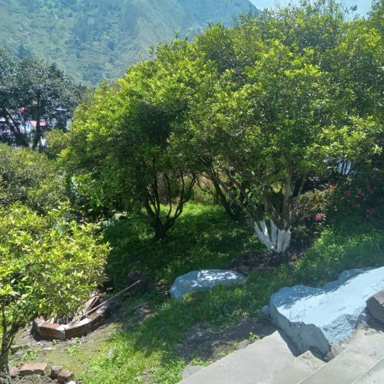 CASA MARTIN en Baños de Agua Santa - Casa de 3 dormitorios - 32