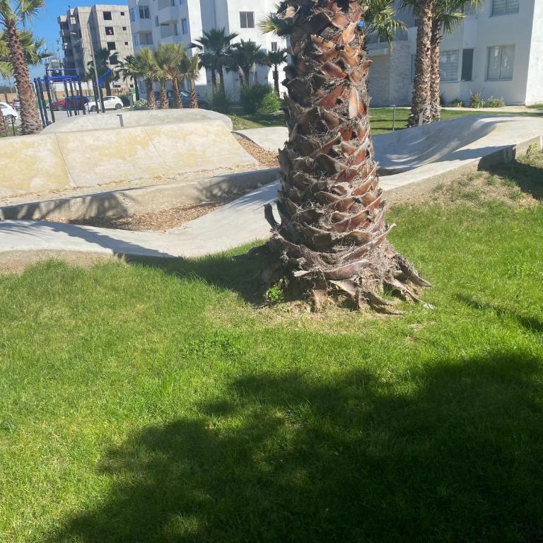 Departamento en la Serena - Two-Bedroom Apartment with Balcony and Terrace - 13