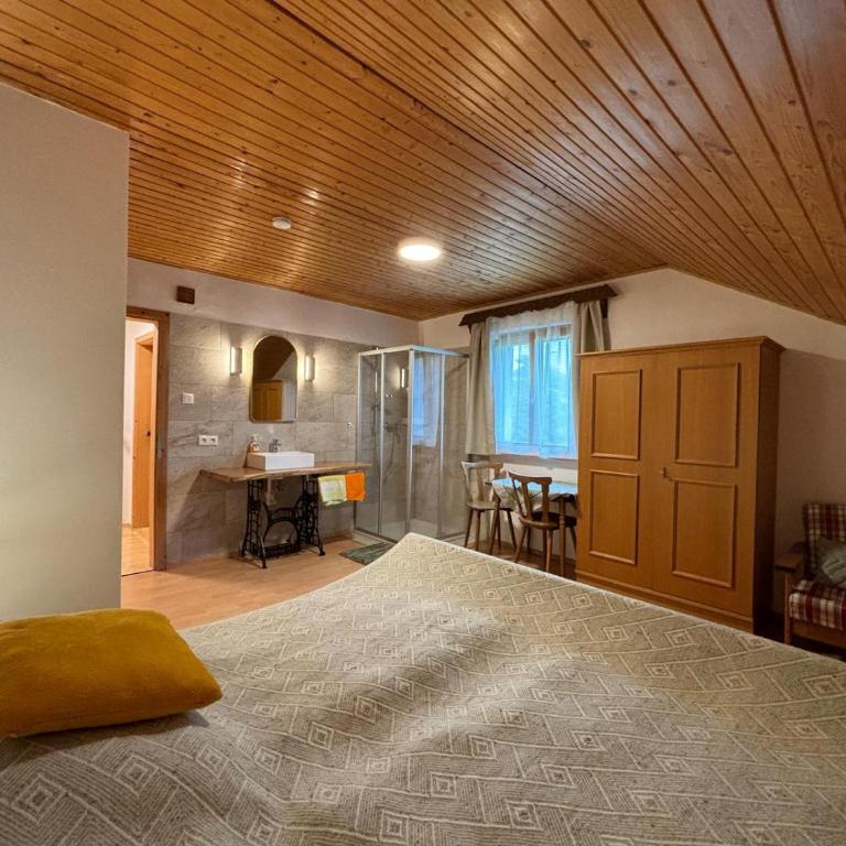 idyllischer Landhof Bär Nähe Millstättersee Ferienwohnung mit Balkon - Apartment mit Blick auf die Berge - 23