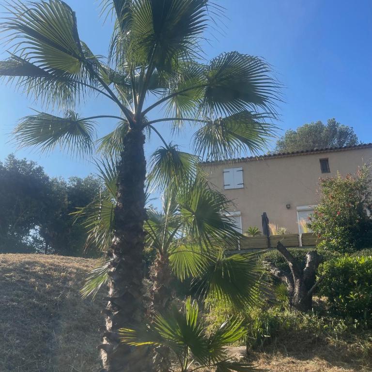 Le Val d'escure - Villa - 27