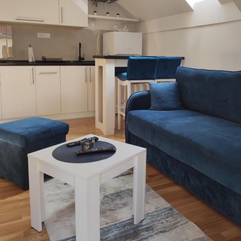 Apartman Malina - Apartman sa 1 Spavaćom Sobom - 4