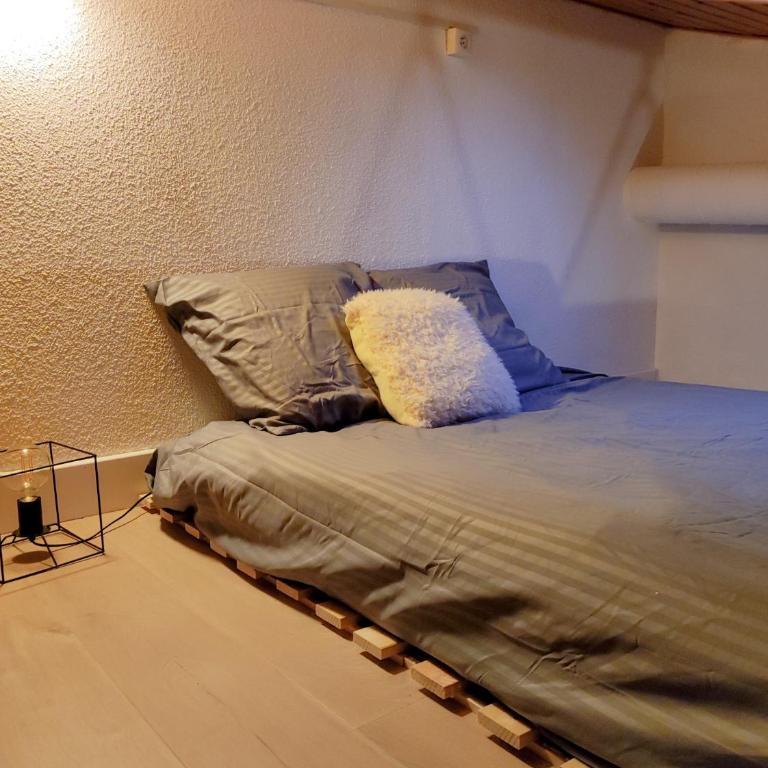 Studios cosy au pied des pistes - Studio 2 Chambres - 4