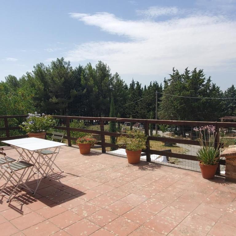 Agriturismo Il Cocco - Camera Matrimoniale Deluxe con Balcone - 3