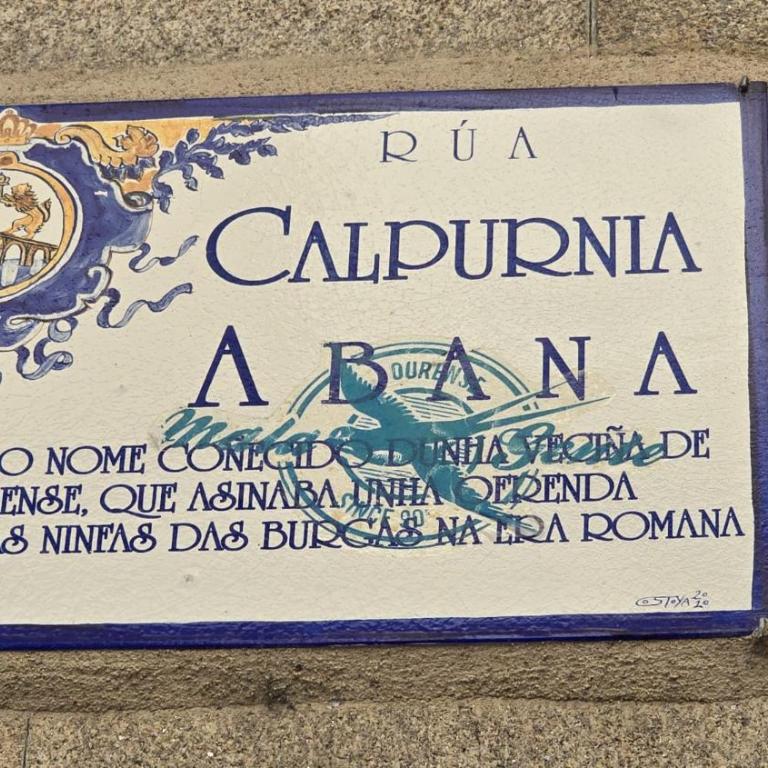 Calpurnia Abana - Apartamento de 1 dormitorio - 27