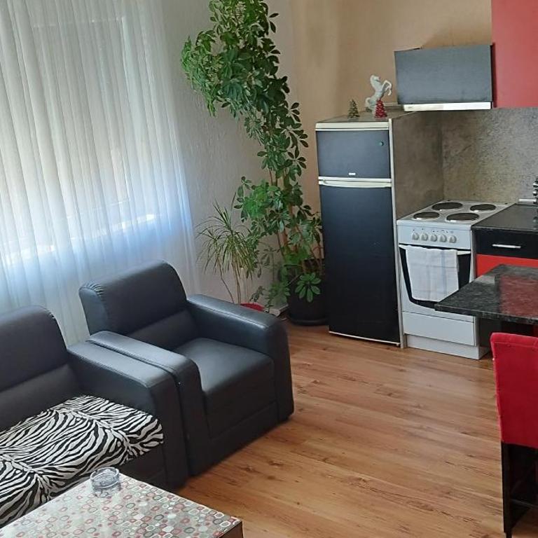 Apartman TWINS - Two-Bedroom Apartment with Terrace - 6