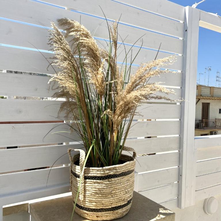 La Terrazza Del Corso - Casa con 2 Camere da Letto - 22