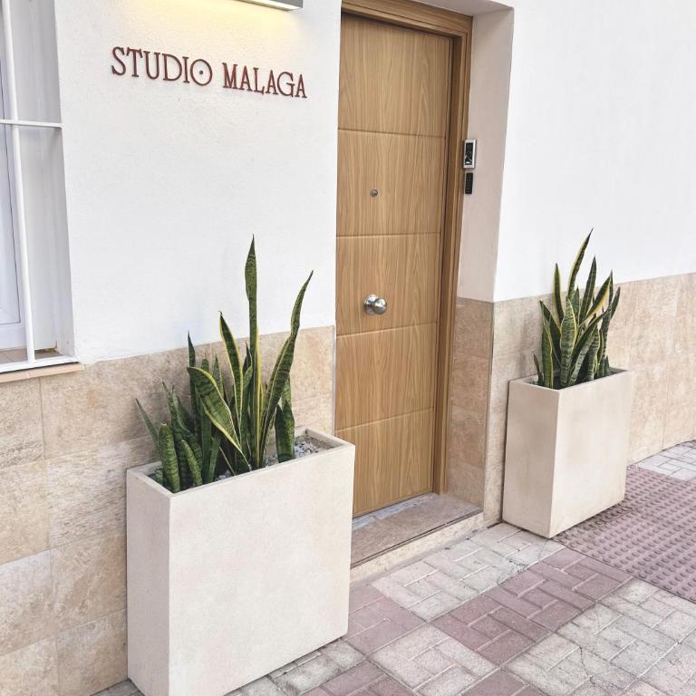 Studio Malaga - Apartamento de 1 dormitorio - 17