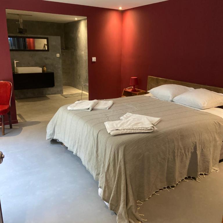 Grand loft proche du centre avec jardin et piscine - Villa - 11
