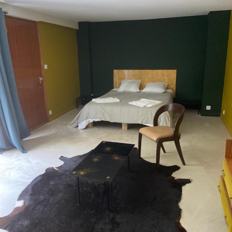 Grand loft proche du centre avec jardin et piscine - Villa - 12