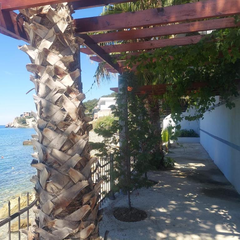 ALOHA Beach front Vacation Rental - Two-Bedroom Apartment - 11