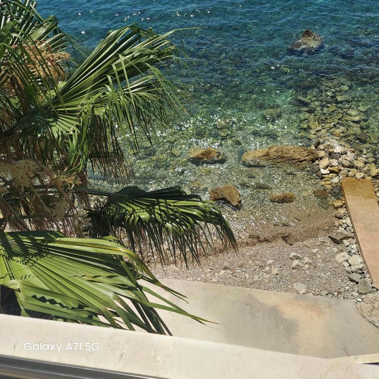 ALOHA Beach front Vacation Rental - Two-Bedroom Apartment - 20