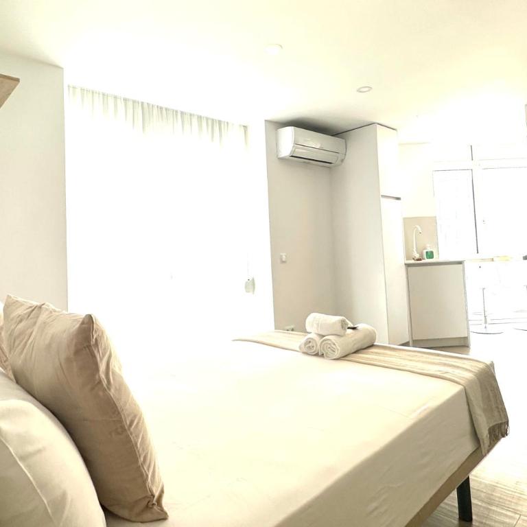Apartamento Andrés Tamayo AV AMERICA - Studio - 24