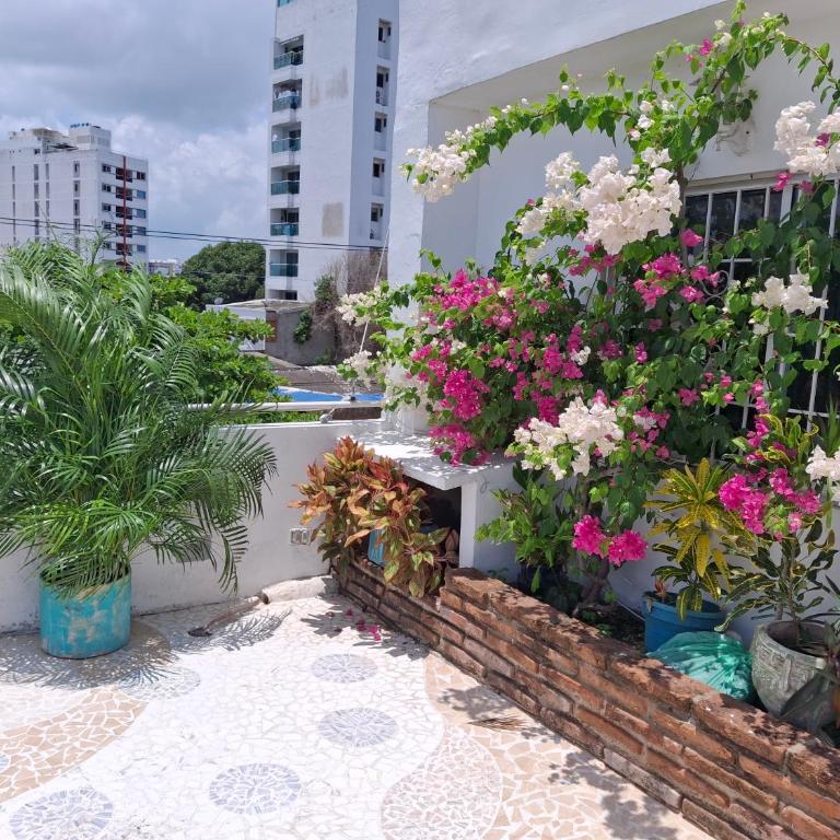 Northwest Hostings 301 - Apartamento de 3 dormitorios - Planta Alta - 11