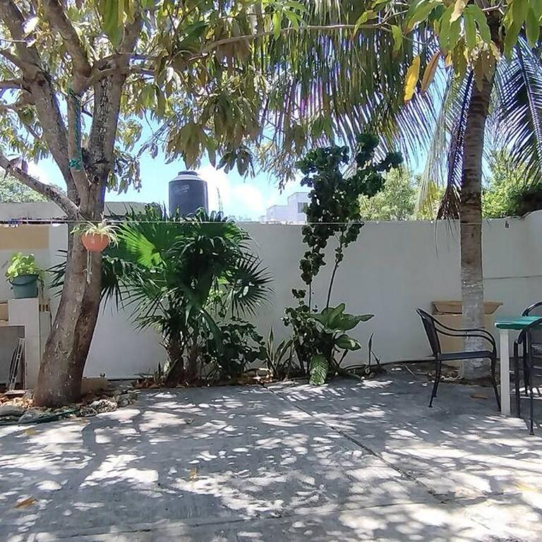 Departamento Rosi Cerca de Juzgado Familiar - Apartamento de 1 dormitorio - 13