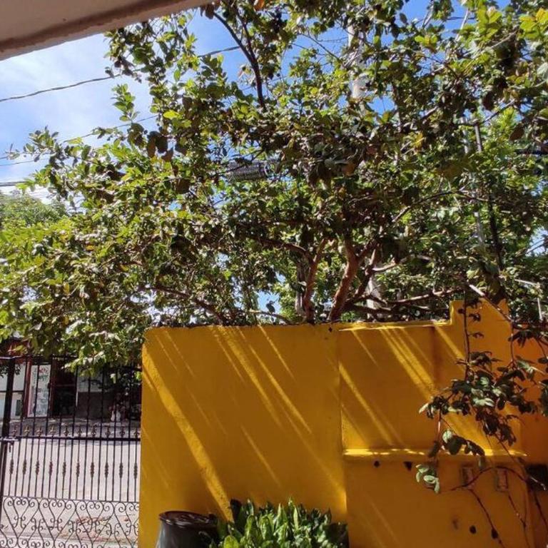 Departamento Rosi Cerca de Juzgado Familiar - Apartamento de 1 dormitorio - 18
