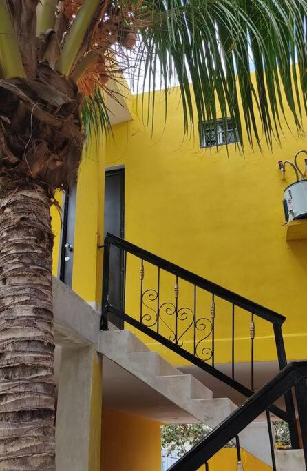 Departamento Rosi Cerca de Juzgado Familiar - Apartamento de 1 dormitorio - 31